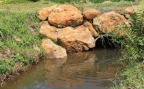 RYLO Specialized Projects