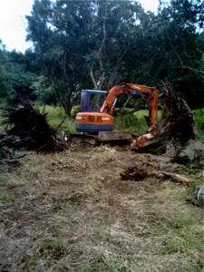 RYLO Construction Stump Removal RYLO Construction Stump Removal